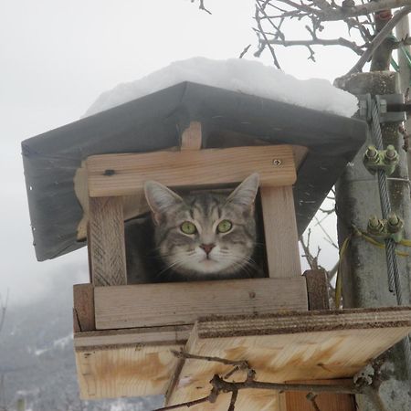 Garnhof Daire Coldrano Dış mekan fotoğraf