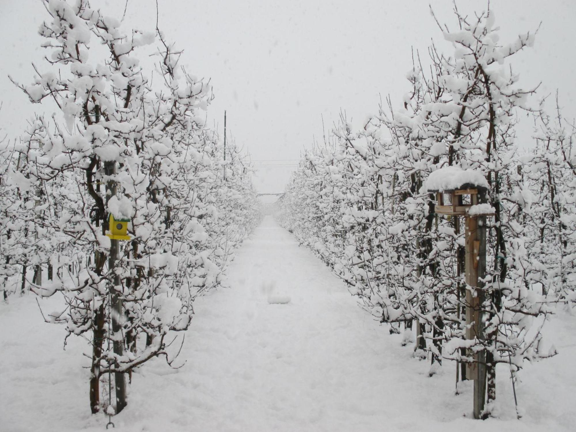 Garnhof Daire Coldrano Dış mekan fotoğraf